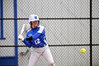 Softball vs Babson  Wheaton College Softball vs Babson College. - Photo by Keith Nordstrom : Wheaton, Softball, Babson, NEWMAC